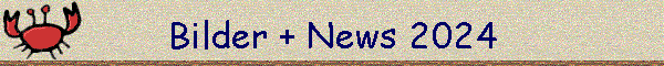 Bilder + News 2024