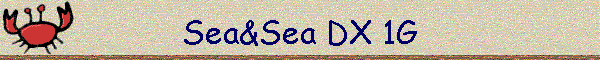 Sea&Sea DX 1G